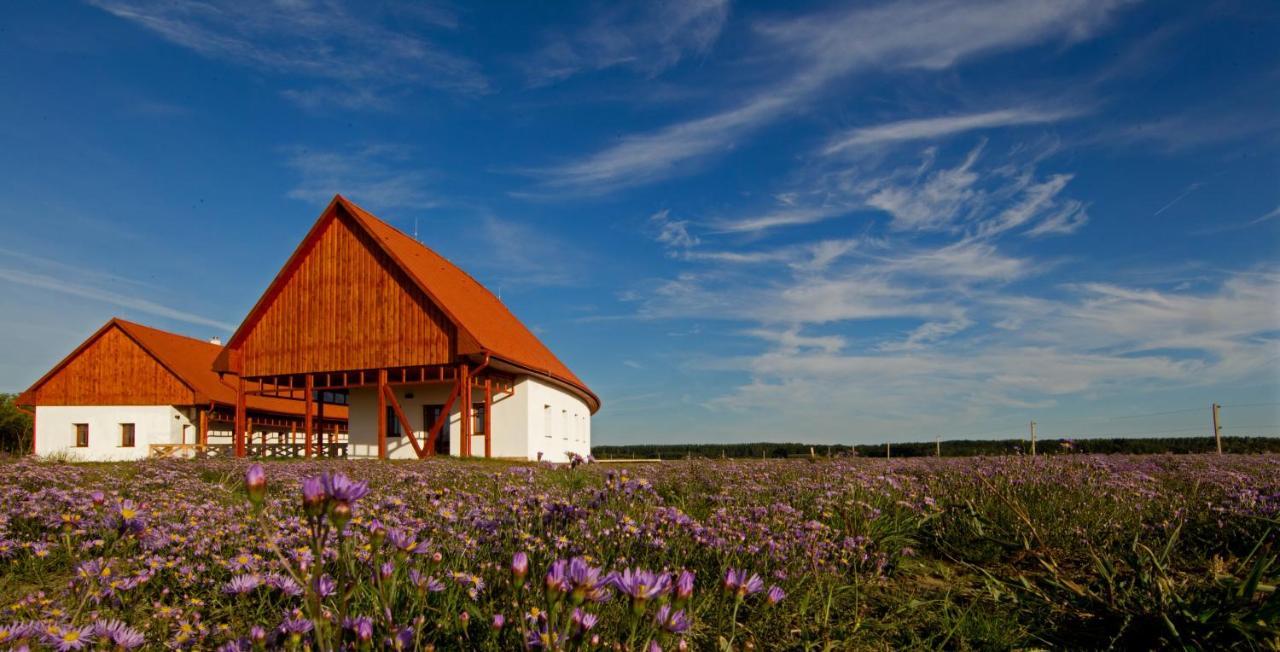Bibic Nature Lodge Balmazujvaros Luaran gambar